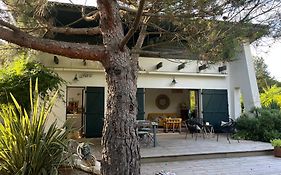 Villa Athena Cap-Ferret Chez L Habitant